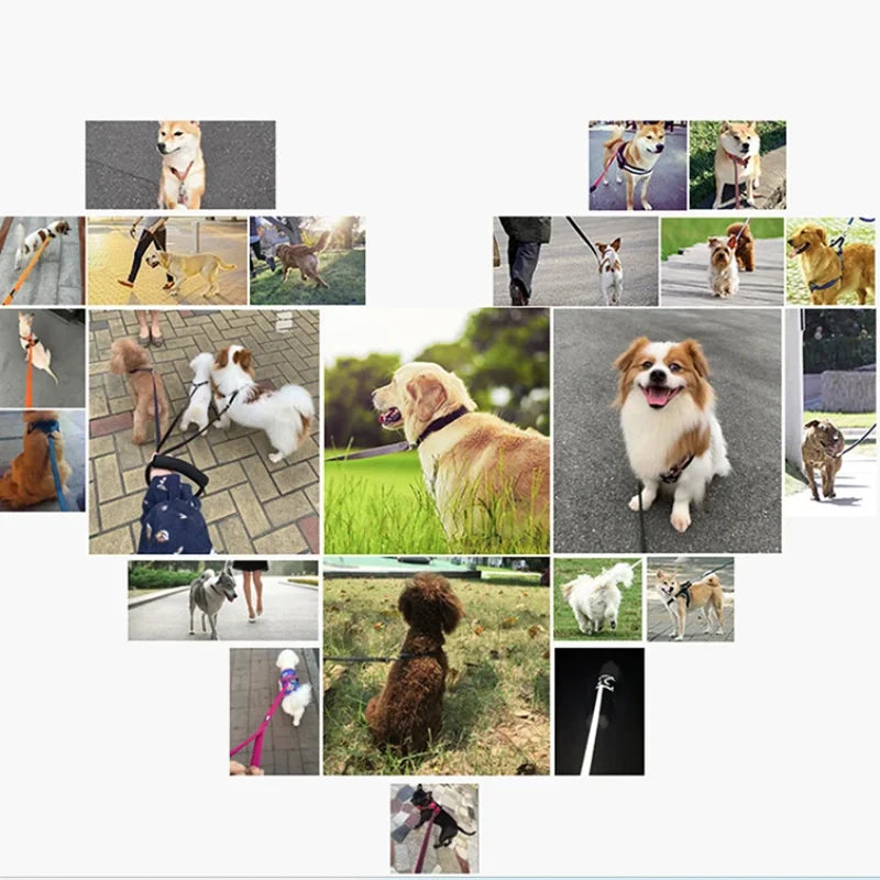 Solid Dog Leash For Large Dogs Pet Puppy Walking Training Lead Rope Big Dog Nylon Rope Long Leashes
