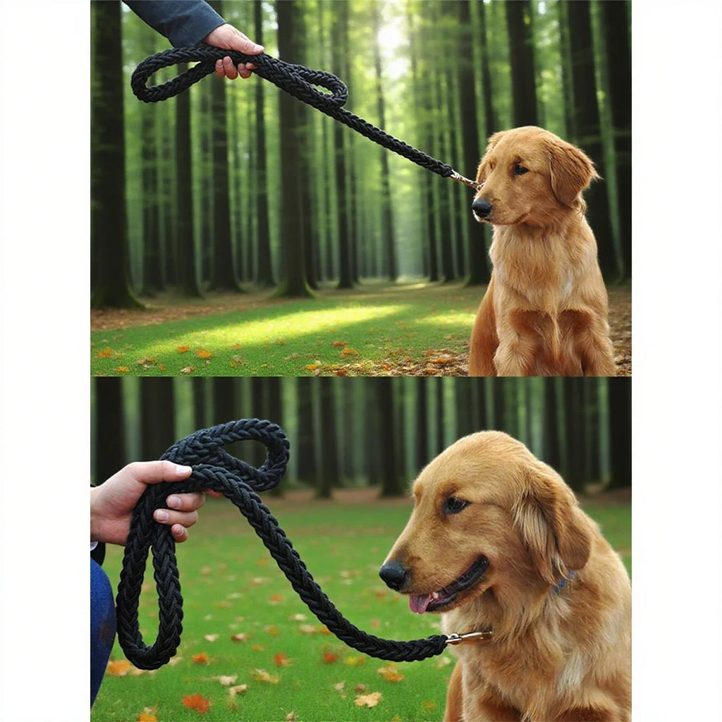 Dog leash for outdoor use. Durable and sturdy. Black design.