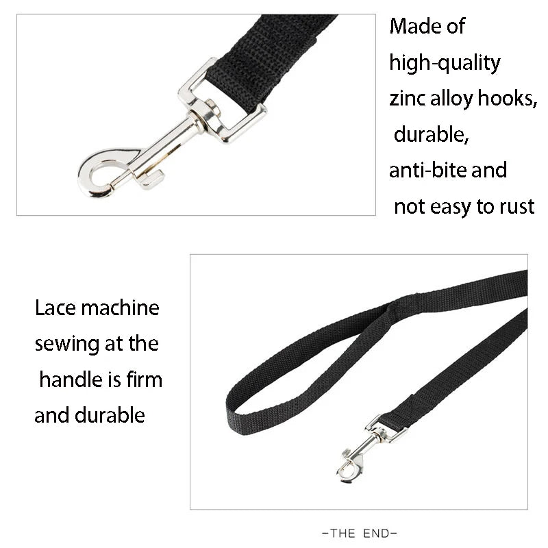 10M 20M 30MPet Leash Nylon Dog Training Leashes Walking Long Lanyard Traction Rope for Small Large Dogs Lead Item
