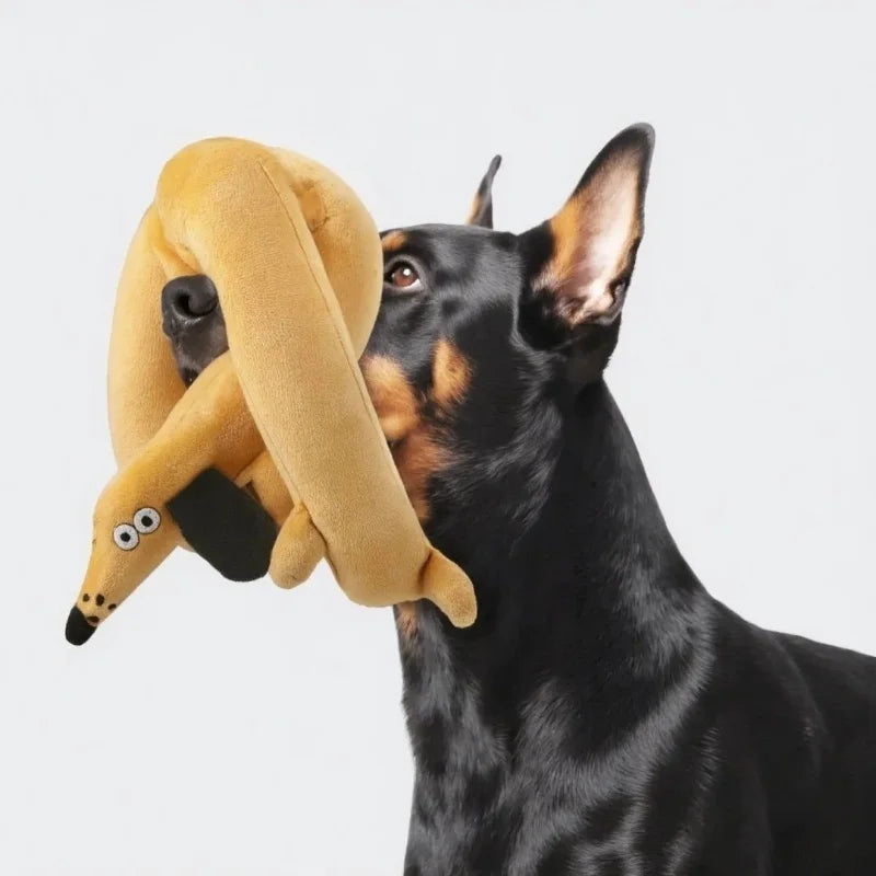 Snail shaped dog and cat toys, pet products, pet supplies, mats to hide food odors, training puzzles, and fun sniffing toys