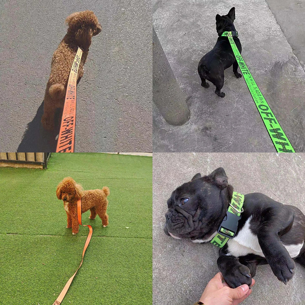 Nylon leash, used for pet dog rope, popular and fashionable pet leash, used for pet products of medium-sized dogs and large dogs